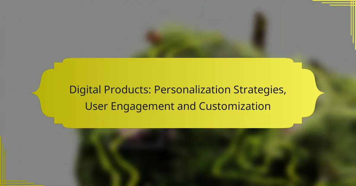 Digital Products: Personalization Strategies, User Engagement and Customization