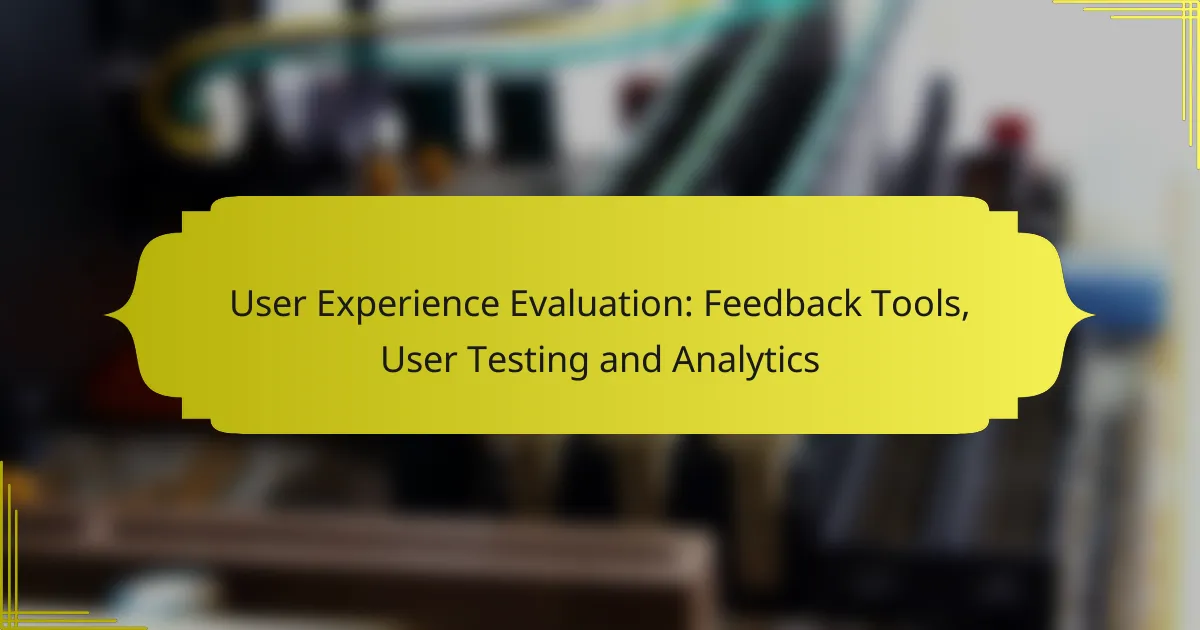 User Experience Evaluation: Feedback Tools, User Testing and Analytics