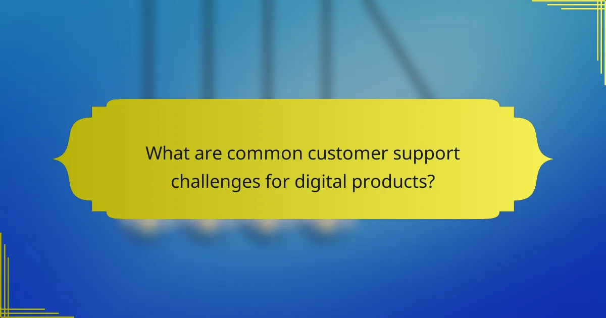 What are common customer support challenges for digital products?