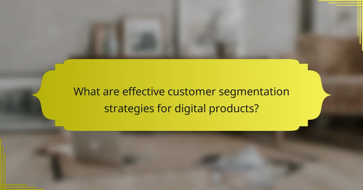 What are effective customer segmentation strategies for digital products?