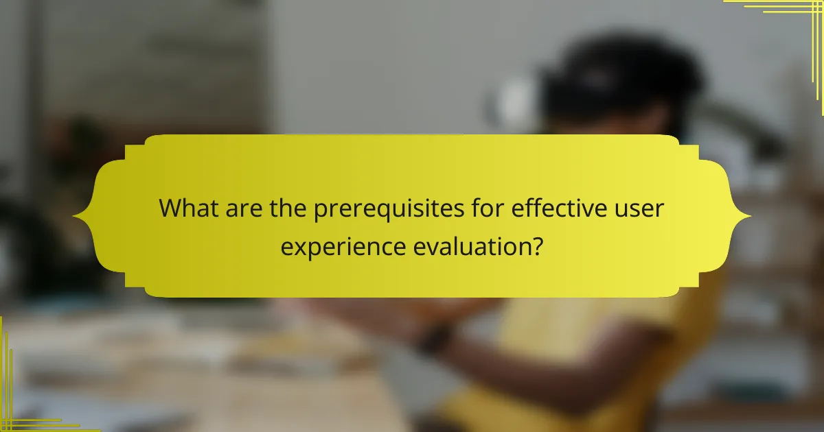 What are the prerequisites for effective user experience evaluation?